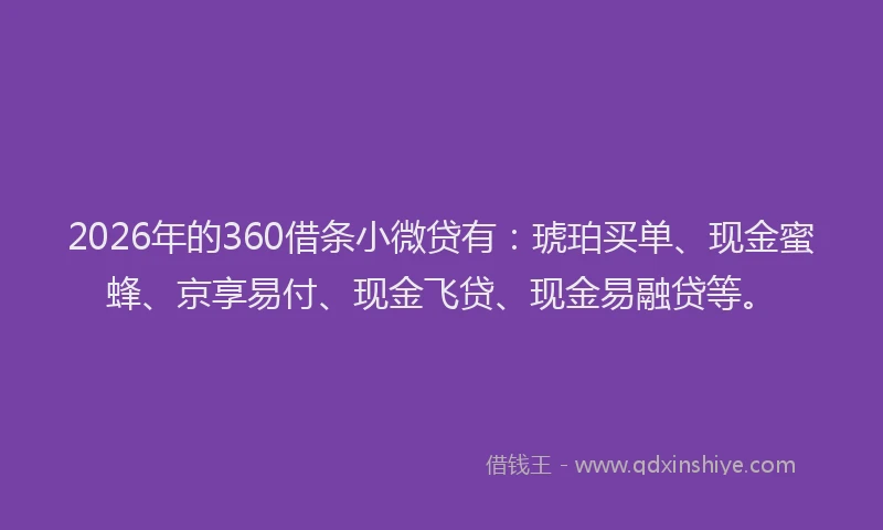 2026年的360借条小微贷有：琥珀买单、现金蜜蜂、京享易付、现金飞贷、现金易融贷等。
