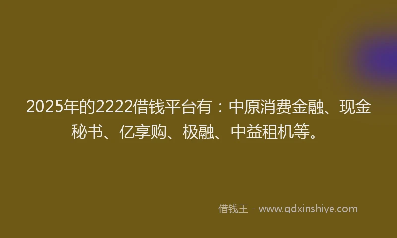 2025年的2222借钱平台有：中原消费金融、现金秘书、亿享购、极融、中益租机等。