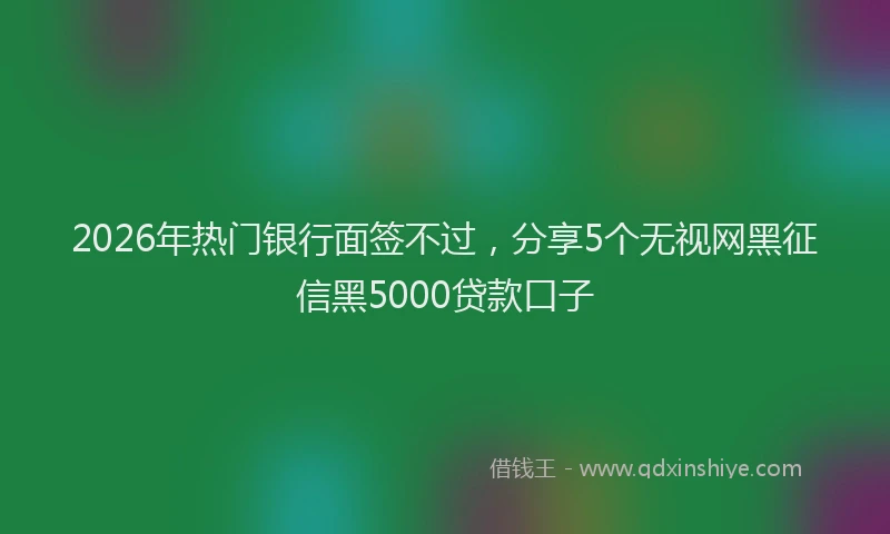 2026年热门银行面签不过，分享5个无视网黑征信黑5000贷款口子