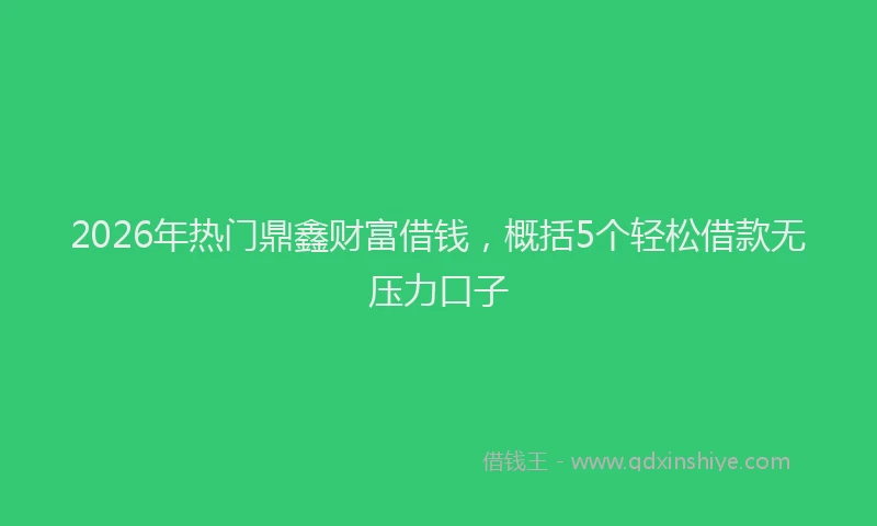 2026年热门鼎鑫财富借钱，概括5个轻松借款无压力口子
