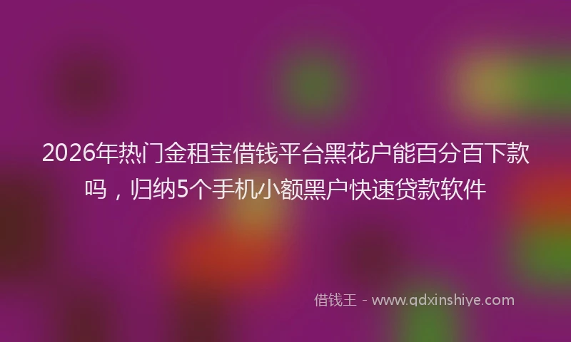 2026年热门金租宝借钱平台黑花户能百分百下款吗，归纳5个手机小额黑户快速贷款软件