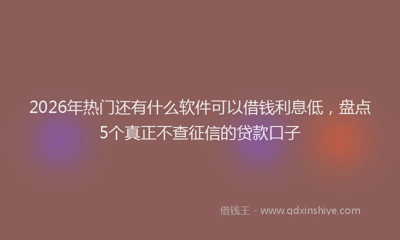 2026年热门还有什么软件可以借钱利息低，盘点5个真正不查征信的贷款口子