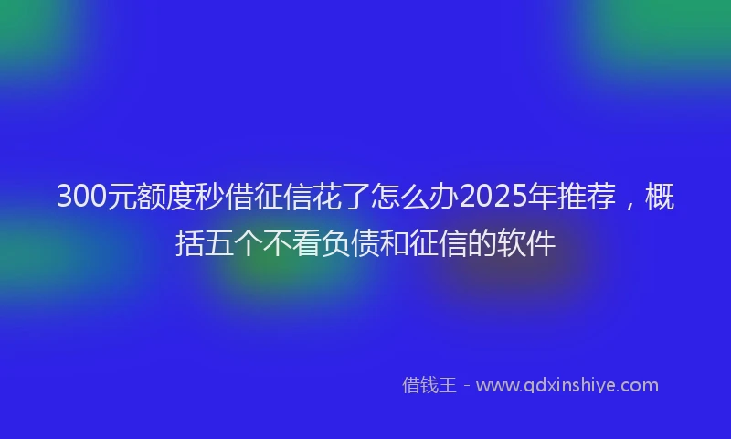 300元额度秒借征信花了怎么办2025年推荐，概括五个不看负债和征信的软件
