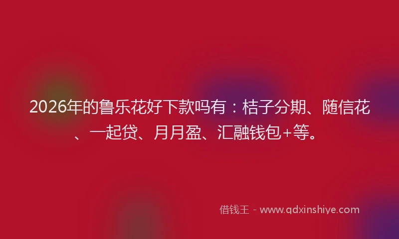 2026年的鲁乐花好下款吗有:桔子分期、随信花、一起贷、月月盈、汇融钱包+等。