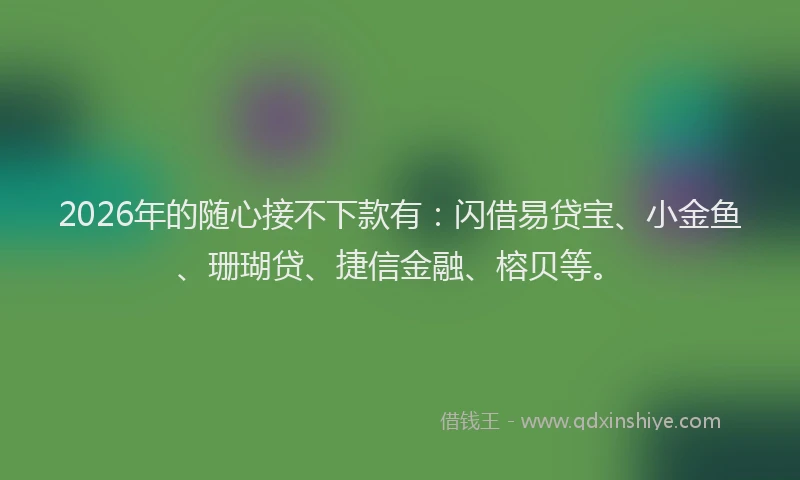2026年的随心接不下款有：闪借易贷宝、小金鱼、珊瑚贷、捷信金融、榕贝等。