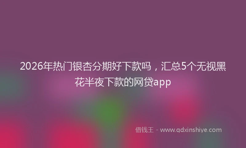 2026年热门银杏分期好下款吗，汇总5个无视黑花半夜下款的网贷app