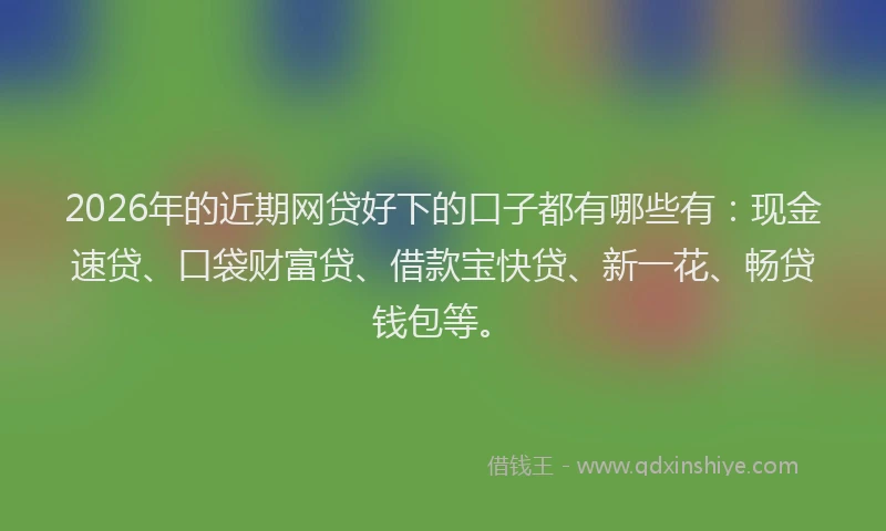 2026年的近期网贷好下的口子都有哪些有：现金速贷、口袋财富贷、借款宝快贷、新一花、畅贷钱包等。