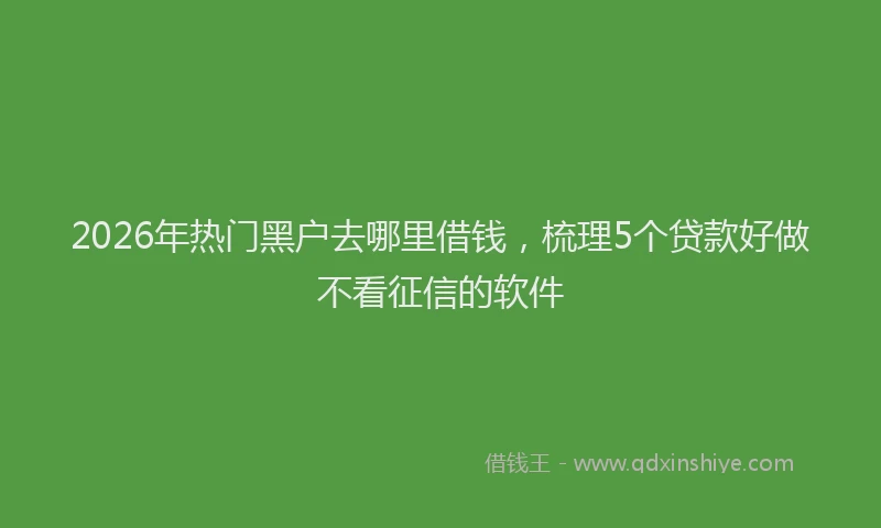 2026年热门黑户去哪里借钱，梳理5个贷款好做不看征信的软件