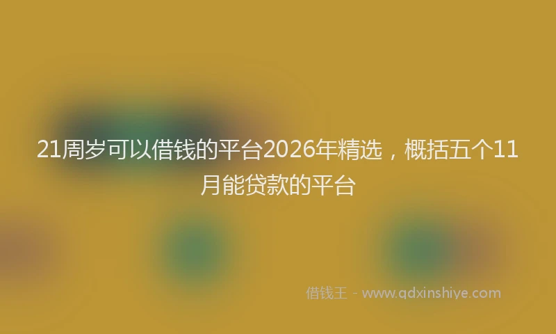 21周岁可以借钱的平台2026年精选，概括五个11月能贷款的平台