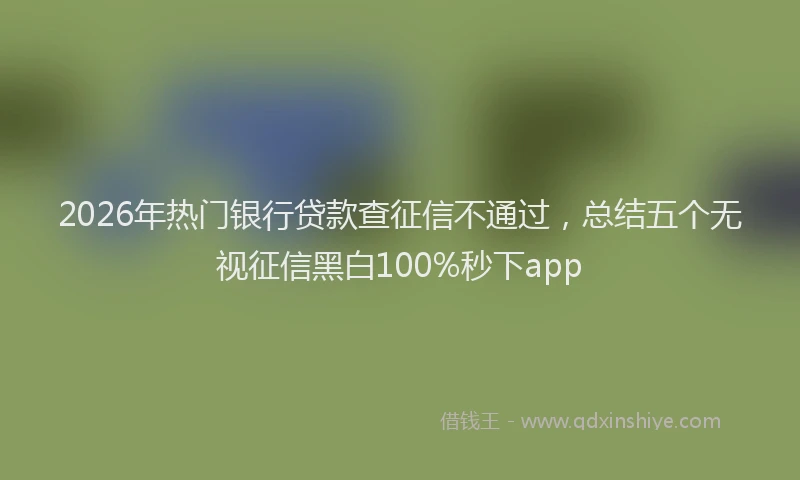 2026年热门银行贷款查征信不通过，总结五个无视征信黑白100%秒下app