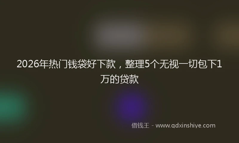 2026年热门钱袋好下款，整理5个无视一切包下1万的贷款