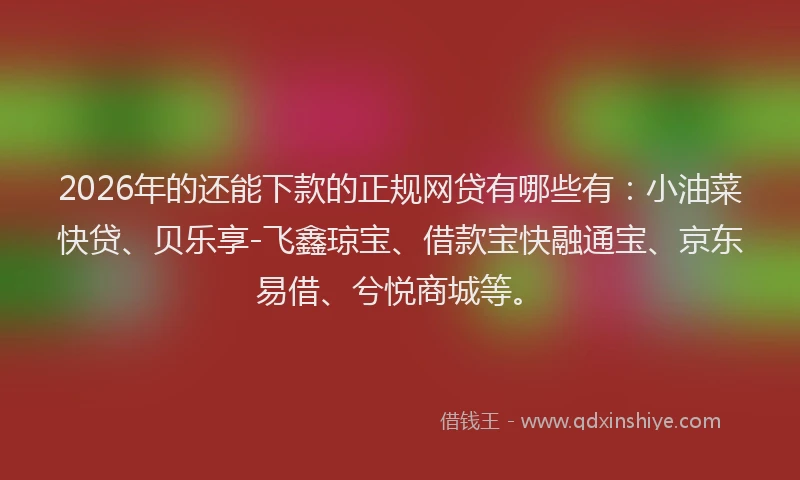 2026年的还能下款的正规网贷有哪些有：小油菜快贷、贝乐享-飞鑫琼宝、借款宝快融通宝、京东易借、兮悦商城等。