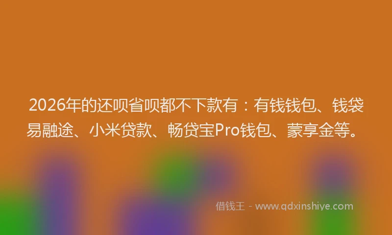 2026年的还呗省呗都不下款有:有钱钱包、钱袋易融途、小米贷款、畅贷宝Pro钱包、蒙享金等。