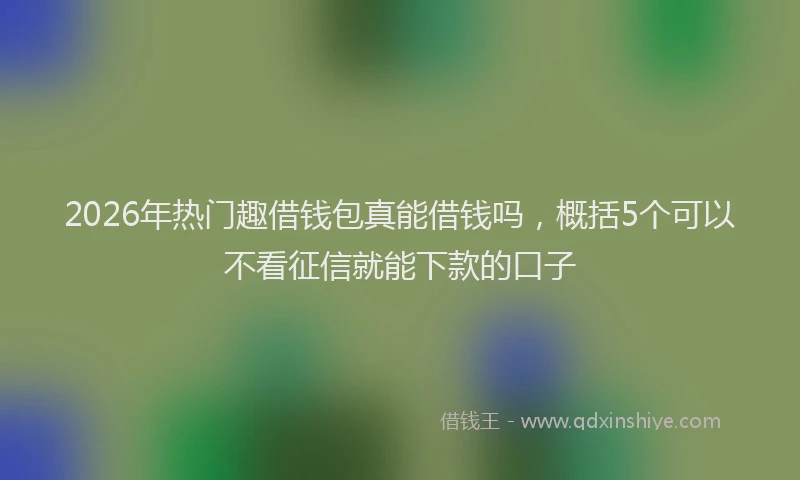 2026年热门趣借钱包真能借钱吗,概括5个可以不看征信就能下款的口子