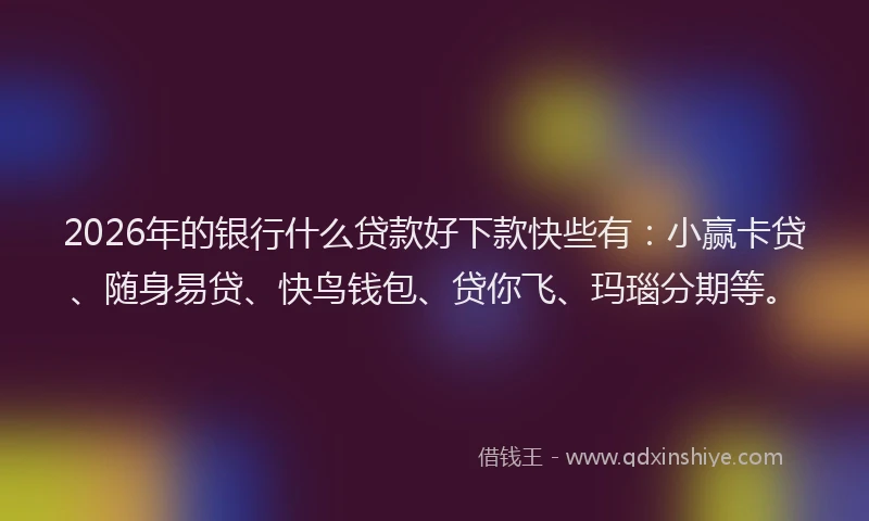 2026年的银行什么贷款好下款快些有：小赢卡贷、随身易贷、快鸟钱包、贷你飞、玛瑙分期等。