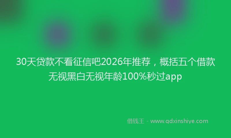 30天贷款不看征信吧2026年推荐，概括五个借款无视黑白无视年龄100%秒过app