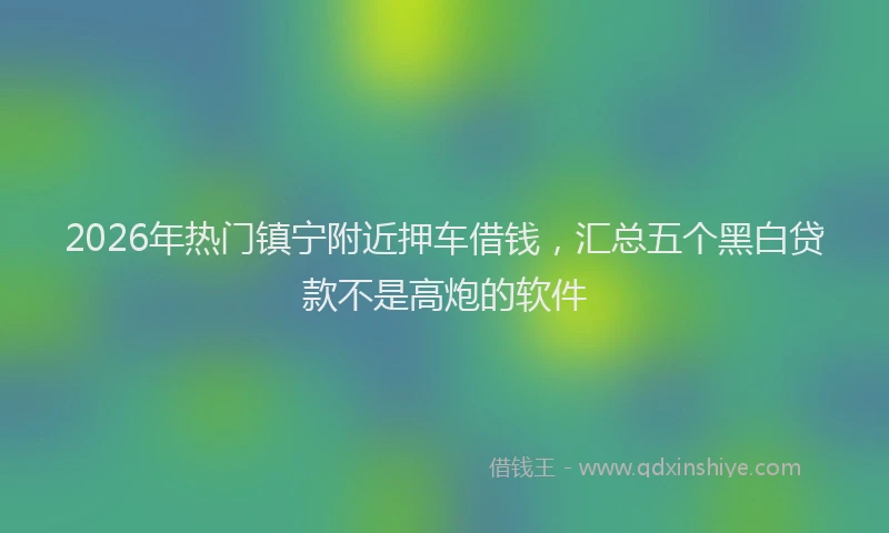 2026年热门镇宁附近押车借钱，汇总五个黑白贷款不是高炮的软件