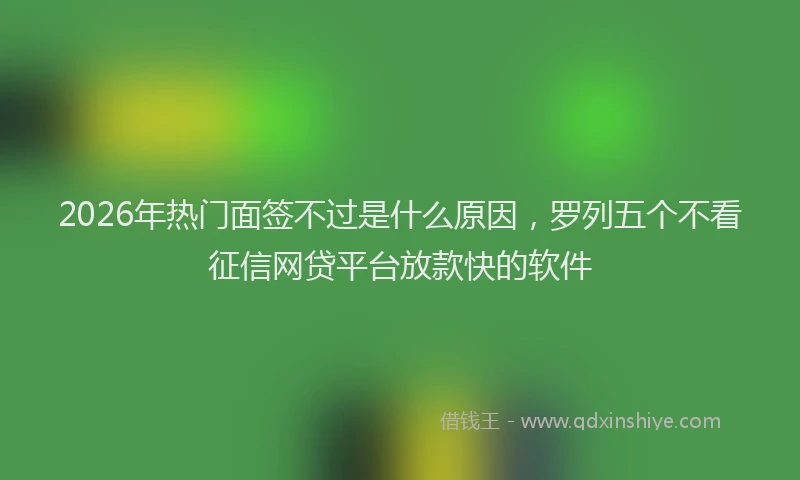 2026年热门面签不过是什么原因，罗列五个不看征信网贷平台放款快的软件