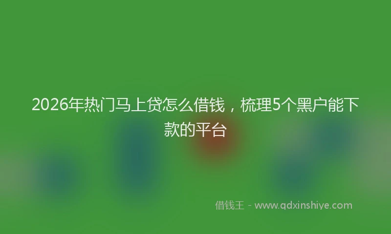 2026年热门马上贷怎么借钱，梳理5个黑户能下款的平台