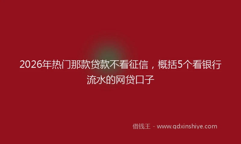 2026年热门那款贷款不看征信,概括5个看银行流水的网贷口子