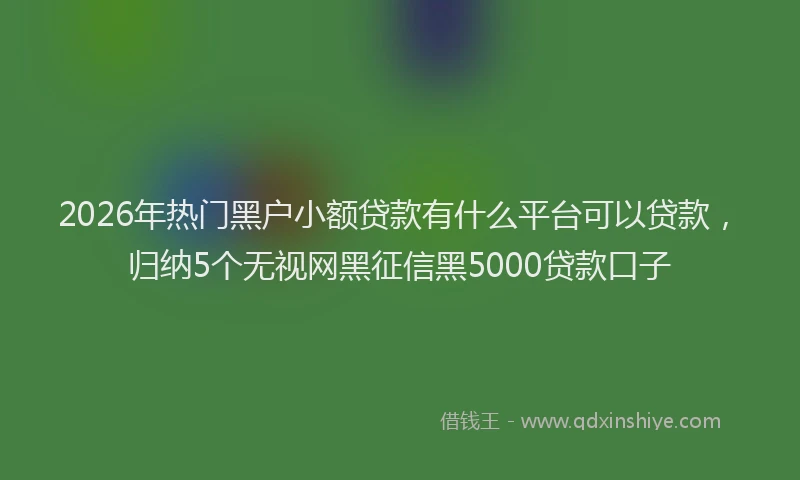 2026年热门黑户小额贷款有什么平台可以贷款，归纳5个无视网黑征信黑5000贷款口子