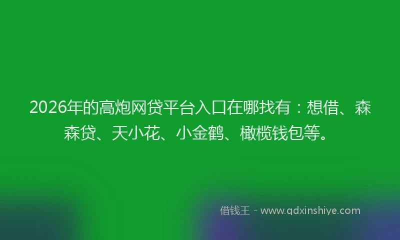 2026年的高炮网贷平台入口在哪找有：想借、森森贷、天小花、小金鹤、橄榄钱包等。