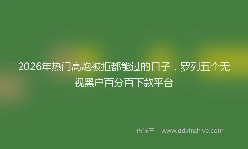2026年热门高炮被拒都能过的口子，罗列五个无视黑户百分百下款平台