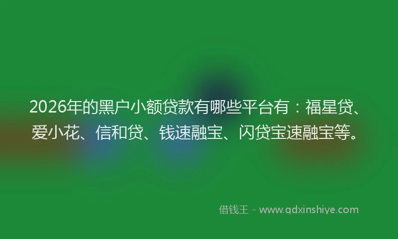 2026年的黑户小额贷款有哪些平台有：福星贷、爱小花、信和贷、钱速融宝、闪贷宝速融宝等。