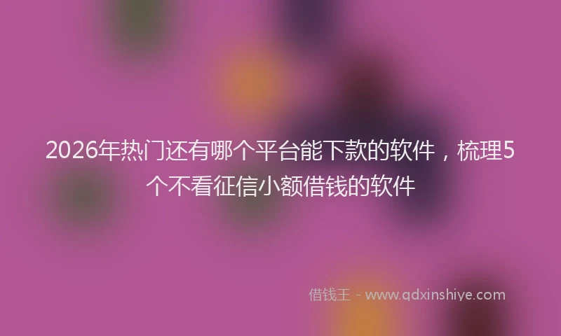 2026年热门还有哪个平台能下款的软件，梳理5个不看征信小额借钱的软件