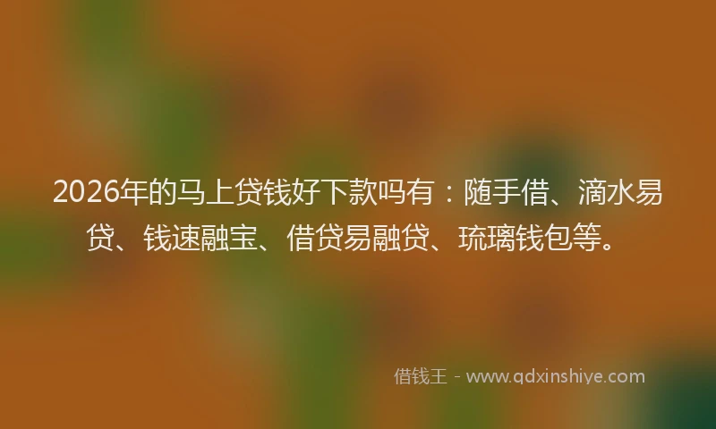 2026年的马上贷钱好下款吗有:随手借、滴水易贷、钱速融宝、借贷易融贷、琉璃钱包等。