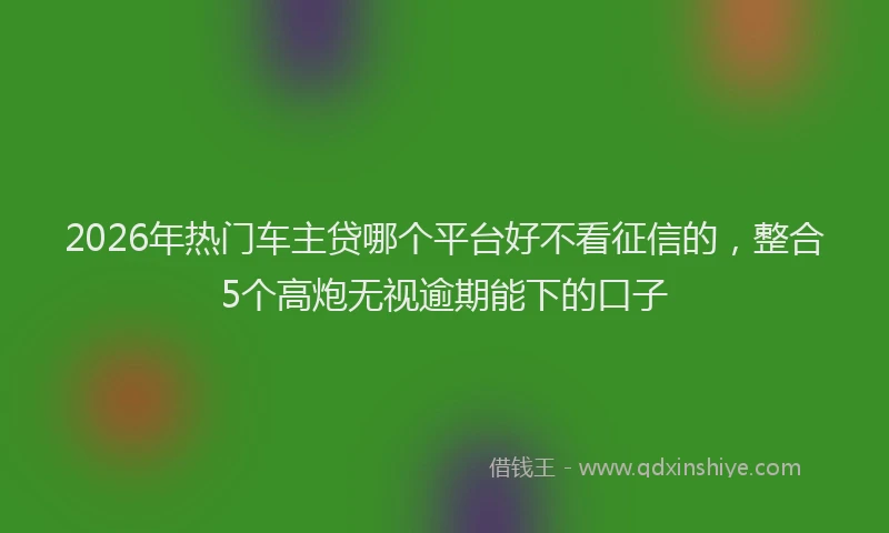 2026年热门车主贷哪个平台好不看征信的,整合5个高炮无视逾期能下的口子
