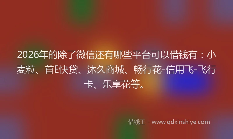 2026年的除了微信还有哪些平台可以借钱有：小麦粒、首E快贷、沐久商城、畅行花-信用飞-飞行卡、乐享花等。