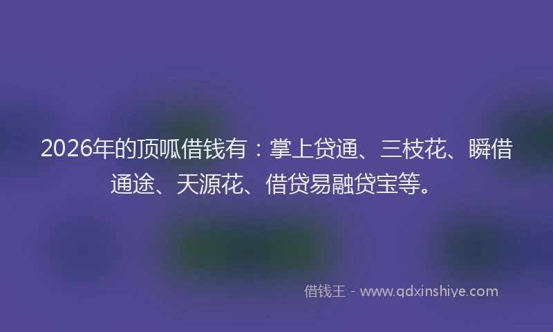 2026年的顶呱借钱有：掌上贷通、三枝花、瞬借通途、天源花、借贷易融贷宝等。