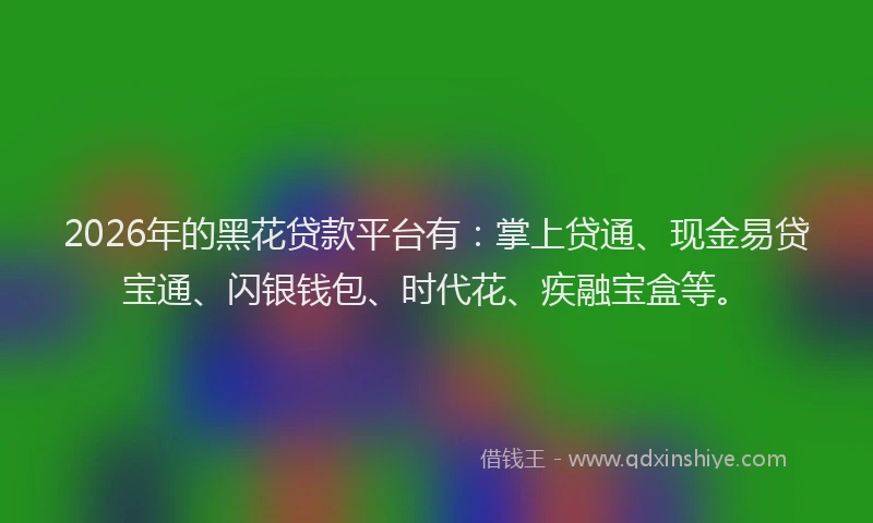 2026年的黑花贷款平台有：掌上贷通、现金易贷宝通、闪银钱包、时代花、疾融宝盒等。