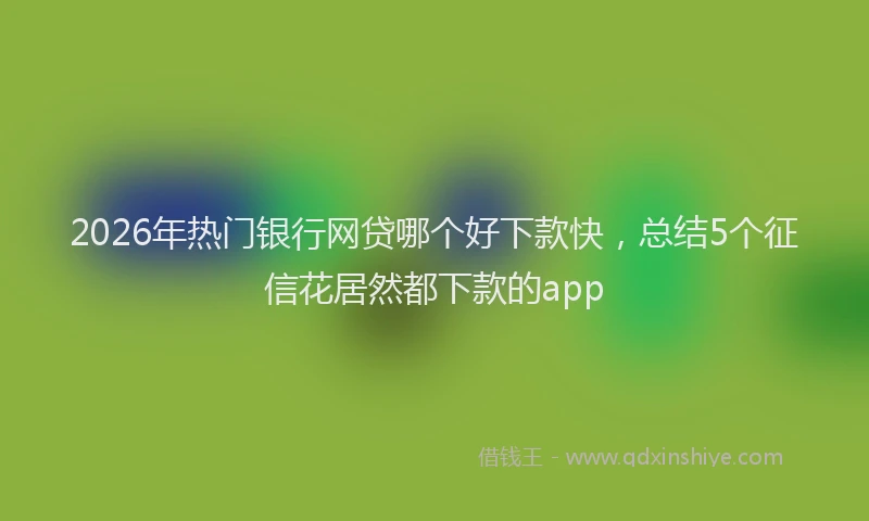 2026年热门银行网贷哪个好下款快，总结5个征信花居然都下款的app