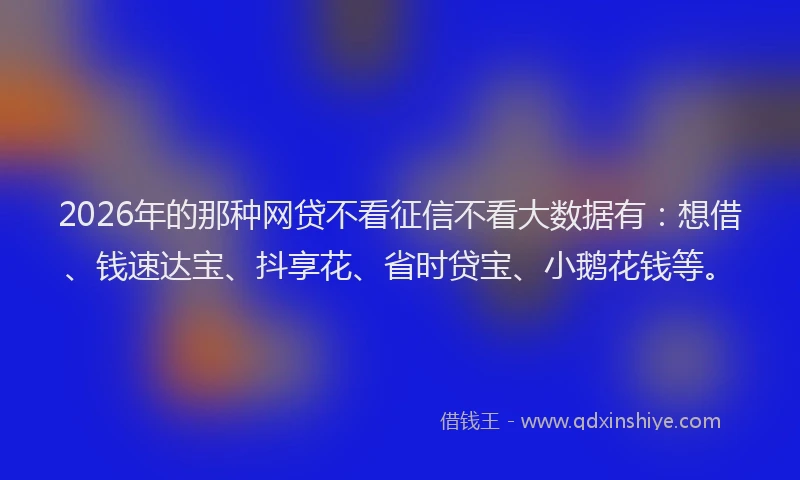 2026年的那种网贷不看征信不看大数据有：想借、钱速达宝、抖享花、省时贷宝、小鹅花钱等。