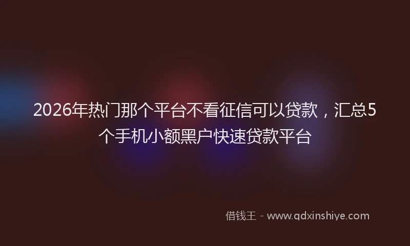 2026年热门那个平台不看征信可以贷款，汇总5个手机小额黑户快速贷款平台