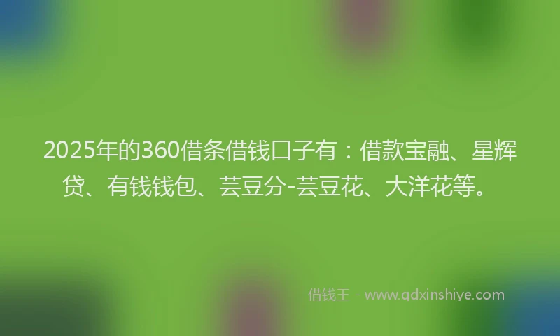2025年的360借条借钱口子有：借款宝融、星辉贷、有钱钱包、芸豆分-芸豆花、大洋花等。