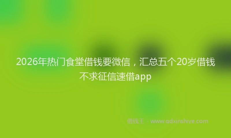 2026年热门食堂借钱要微信，汇总五个20岁借钱不求征信速借app