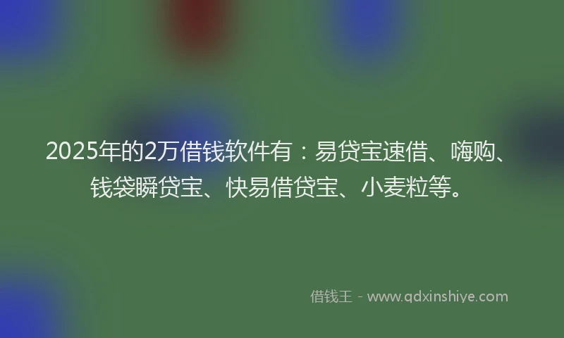 2025年的2万借钱软件有：易贷宝速借、嗨购、钱袋瞬贷宝、快易借贷宝、小麦粒等。