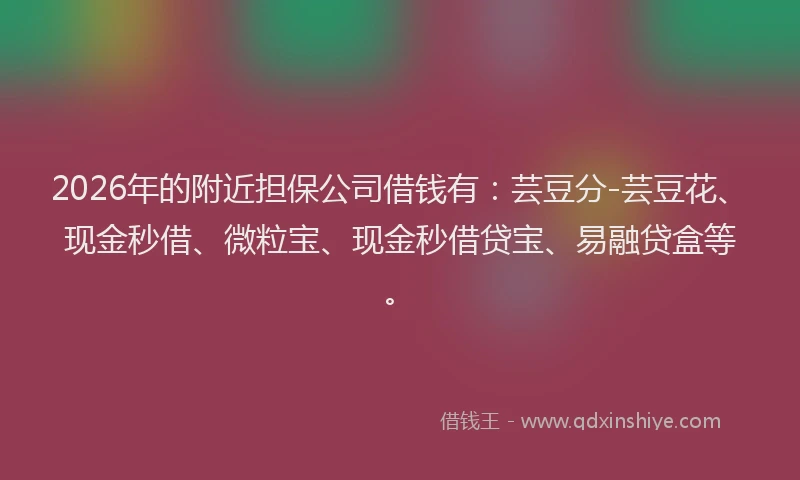 2026年的附近担保公司借钱有：芸豆分-芸豆花、现金秒借、微粒宝、现金秒借贷宝、易融贷盒等。
