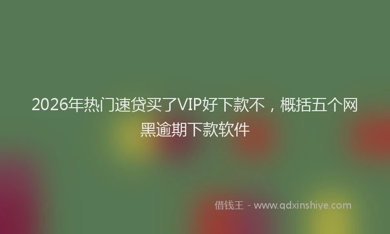 2026年热门速贷买了VIP好下款不，概括五个网黑逾期下款软件