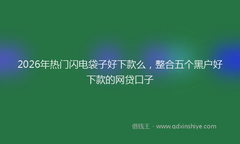 2026年热门闪电袋子好下款么，整合五个黑户好下款的网贷口子