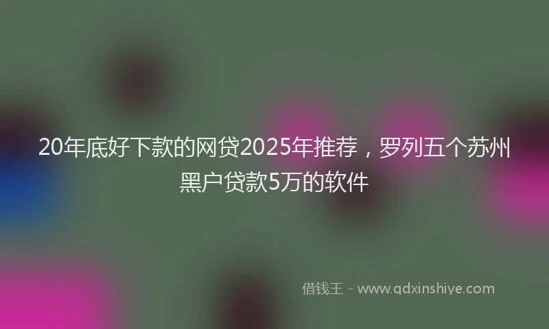 20年底好下款的网贷2025年推荐，罗列五个苏州黑户贷款5万的软件