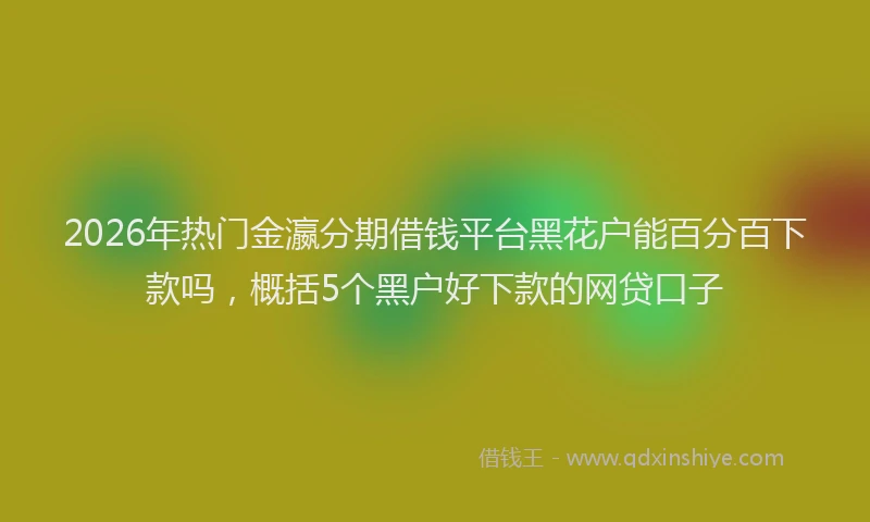 2026年热门金瀛分期借钱平台黑花户能百分百下款吗,概括5个黑户好下款的网贷口子