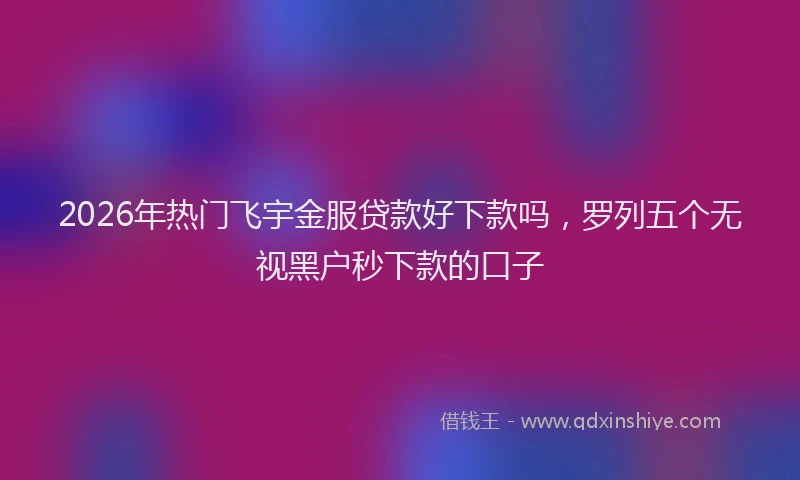 2026年热门飞宇金服贷款好下款吗，罗列五个无视黑户秒下款的口子