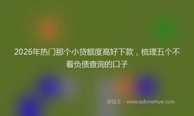 2026年热门那个小贷额度高好下款，梳理五个不看负债查询的口子
