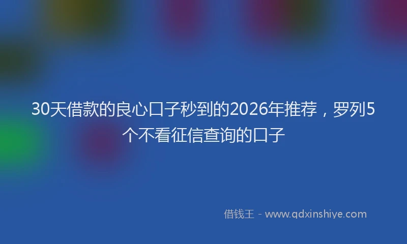 30天借款的良心口子秒到的2026年推荐，罗列5个不看征信查询的口子