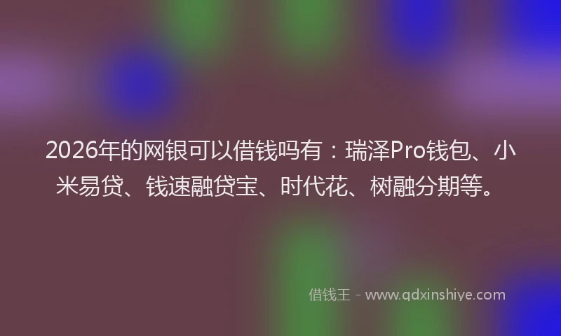 2026年的网银可以借钱吗有：瑞泽Pro钱包、小米易贷、钱速融贷宝、时代花、树融分期等。