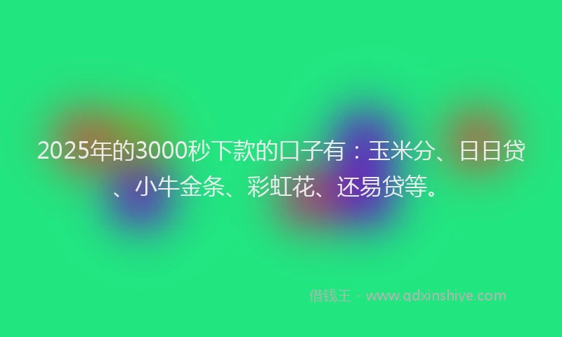 2025年的3000秒下款的口子有：玉米分、日日贷、小牛金条、彩虹花、还易贷等。